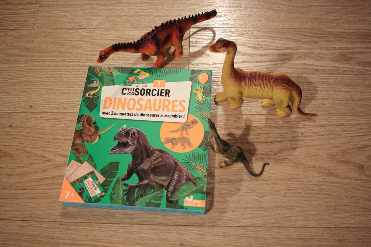 C Est Pas Sorcier Sur Les Dinosaures C'est pas sorcier - Les Dinosaures - Maman Écureuil