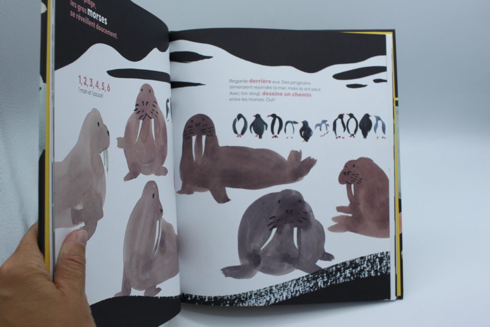 Comptes les animaux avec Marguerite - Gallimard Jeunesse